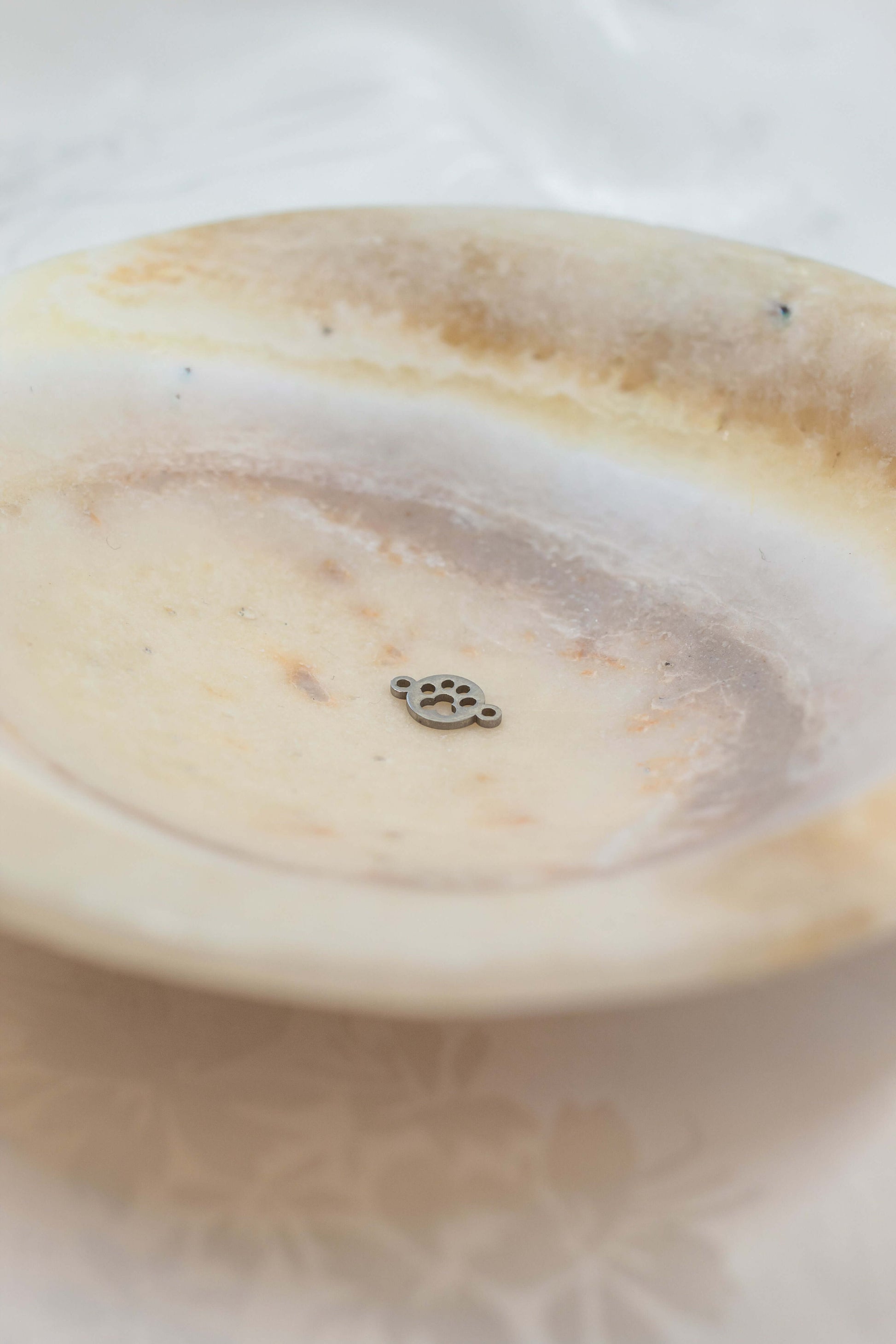 Paw Print Connector Charm showcased on a decorative plate, perfect for pet lovers' jewelry.