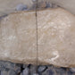 IMG_8051 - preyjewelrysupply.com