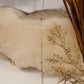 IMG_8314 - preyjewelrysupply.com