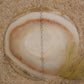 IMG_8341 - preyjewelrysupply.com