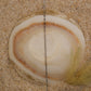 IMG_8344 - preyjewelrysupply.com