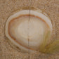 IMG_8352 - preyjewelrysupply.com