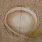 IMG_8356 - preyjewelrysupply.com